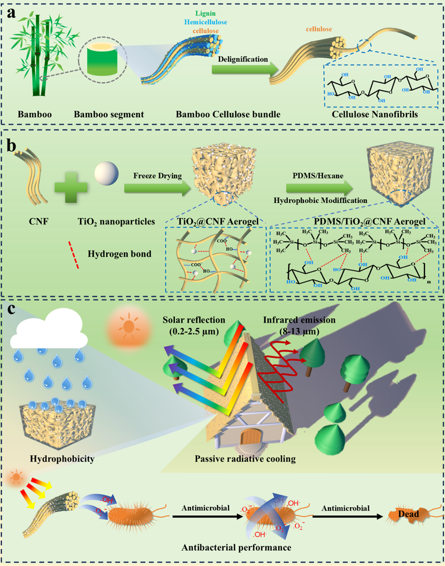广西大学莫柳婷团队：蜂窝多孔结构的坚固疏水抗菌竹纤维素纳米纤维复合气凝胶，实现高效辐射制冷